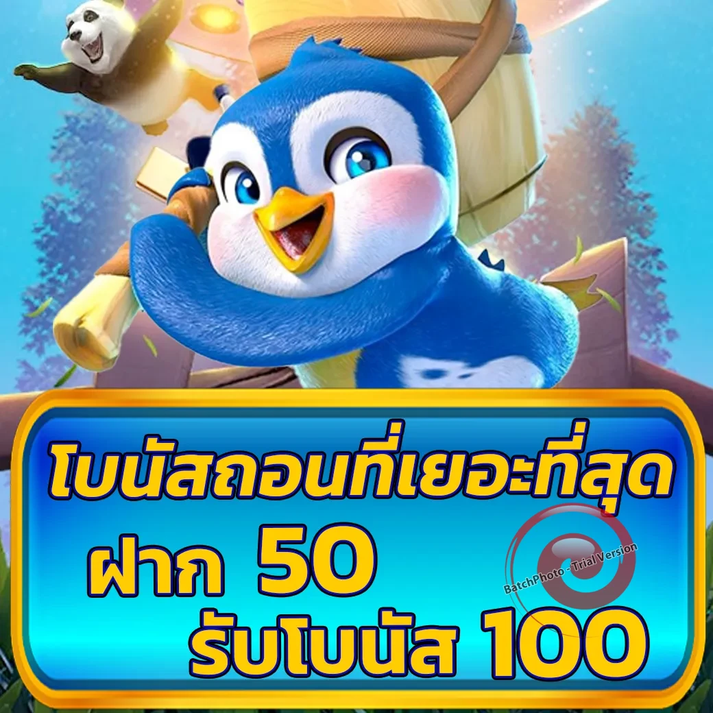 betflix1689 ทางเข้า